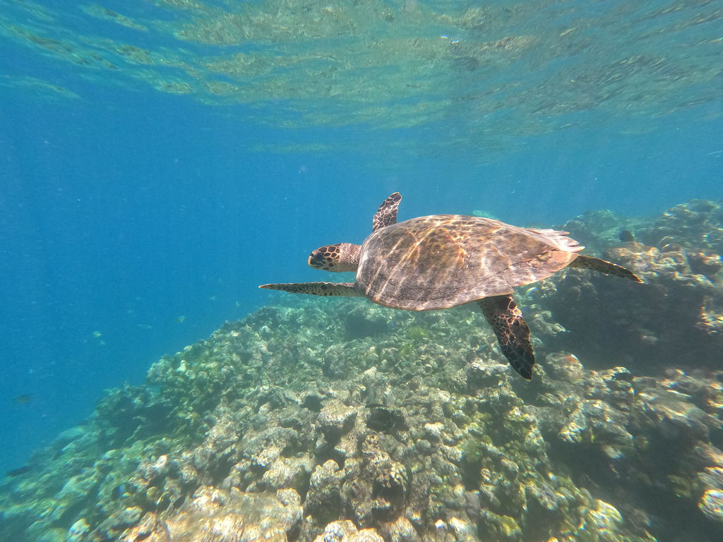 f561ff65-7e80-4094-892c-1e2bbaa6d4d1