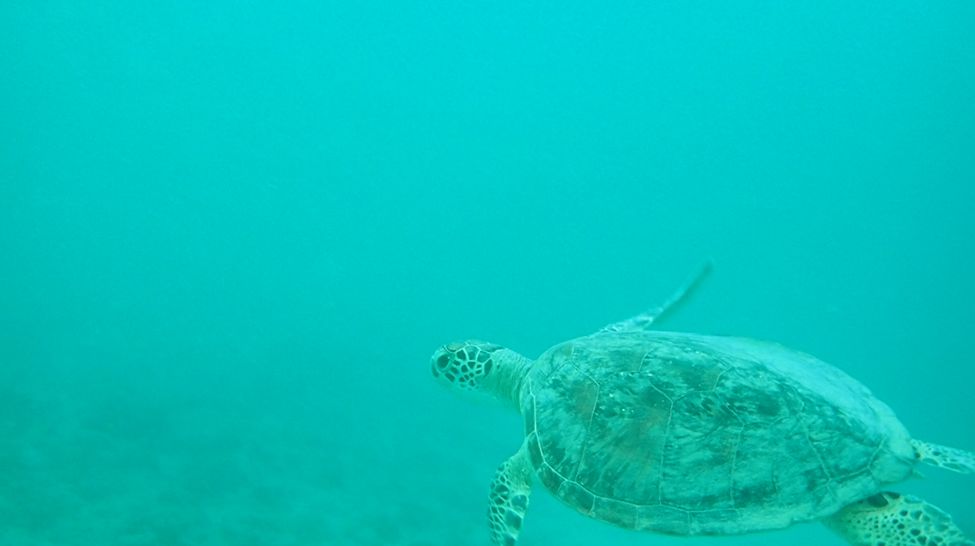 1adb12b3-768b-47ab-8b25-2dd38fce38b9