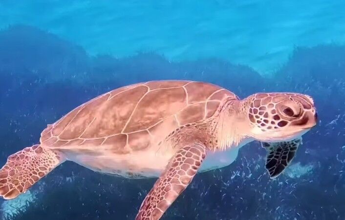 f8ec5389-f42c-4f7d-bf9a-08ff2ab1bcb4