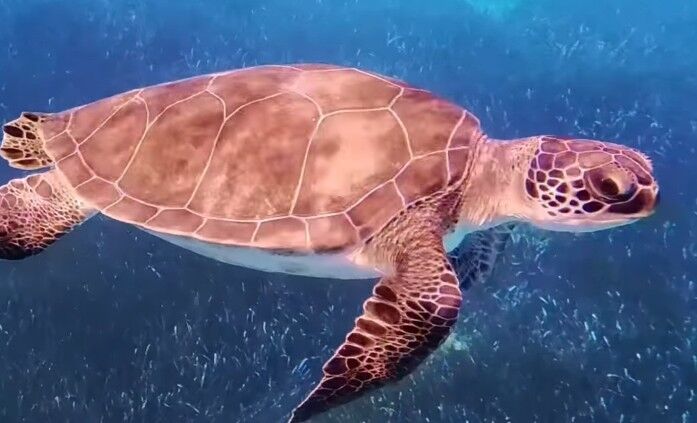 f8ec5389-f42c-4f7d-bf9a-08ff2ab1bcb4