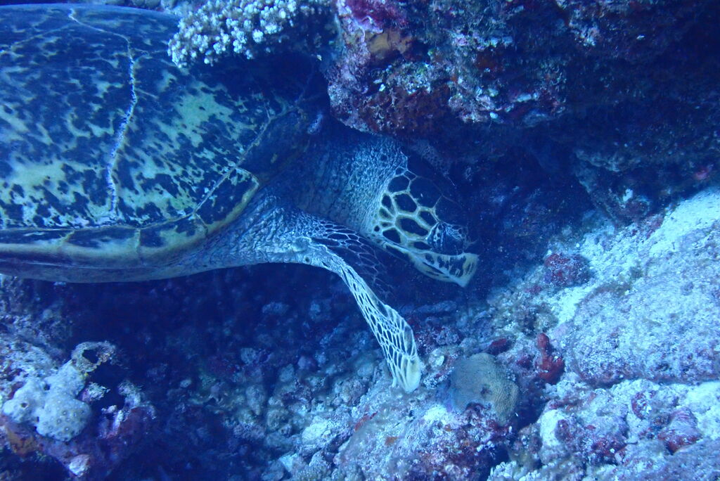 5cd83999-e1ee-4c10-8ad8-15ad37d003b7