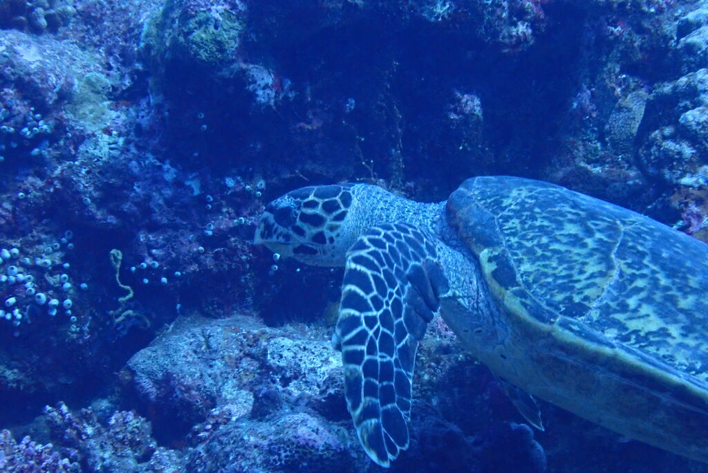 5cd83999-e1ee-4c10-8ad8-15ad37d003b7