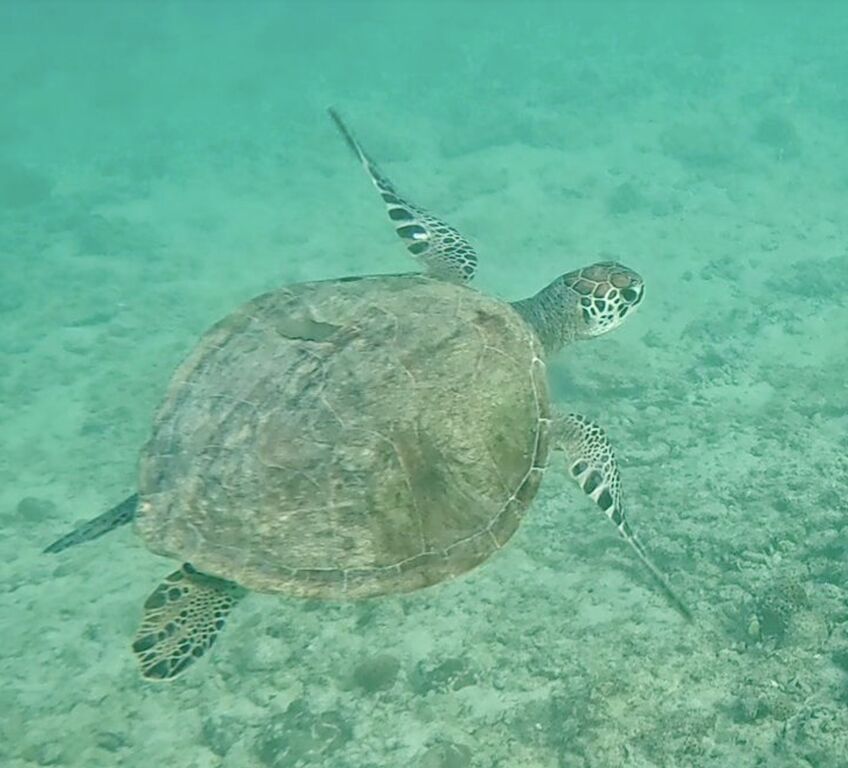 fa6540ad-138b-4038-8c64-8d88987617a2