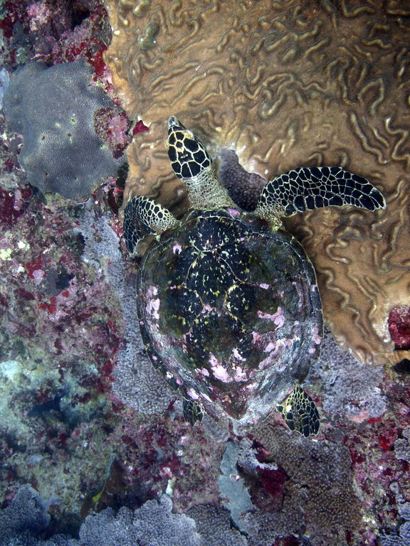 3bcc39b0-fcb2-4ab0-8537-6951963ebced