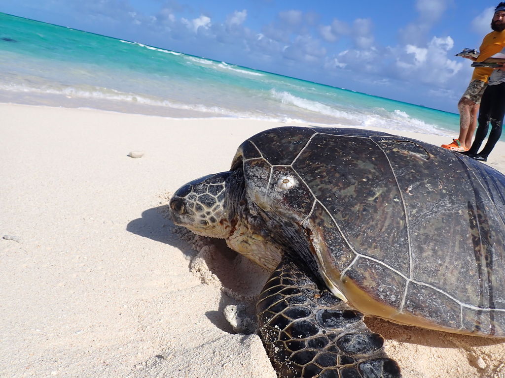 66f5c6e3-15a0-49b5-a27e-dbf730b0dc3d