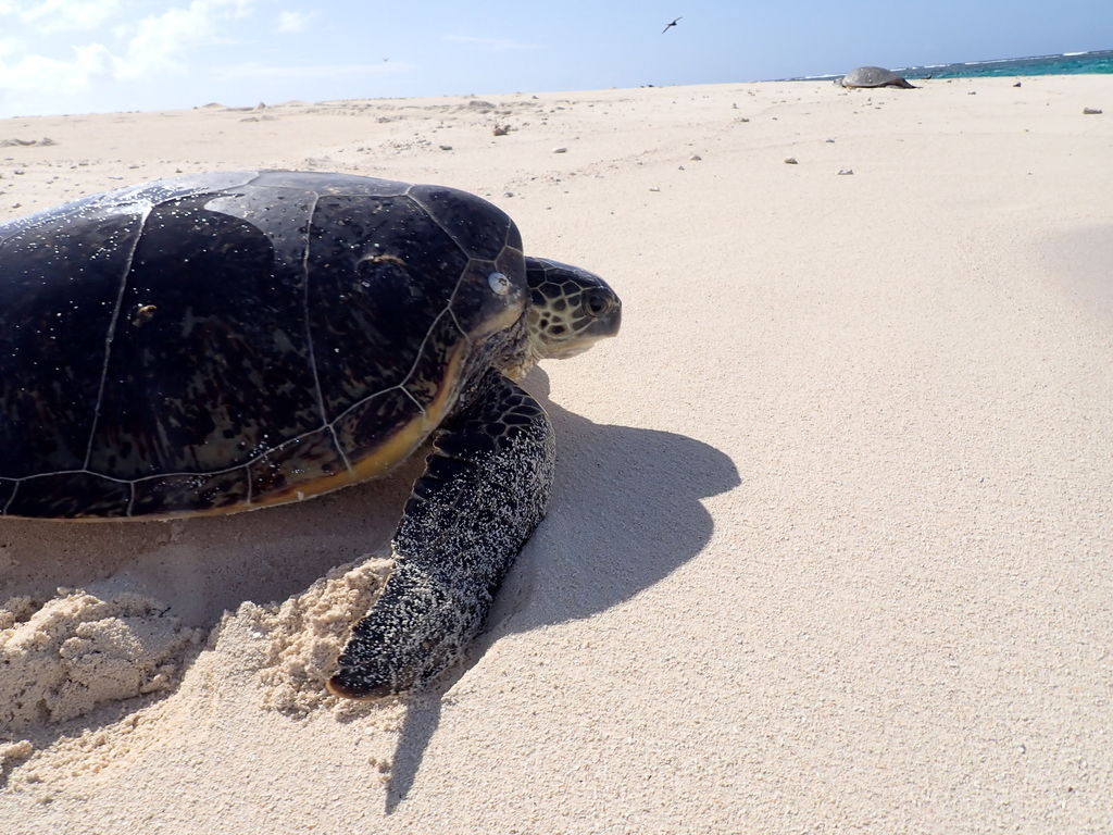 66f5c6e3-15a0-49b5-a27e-dbf730b0dc3d