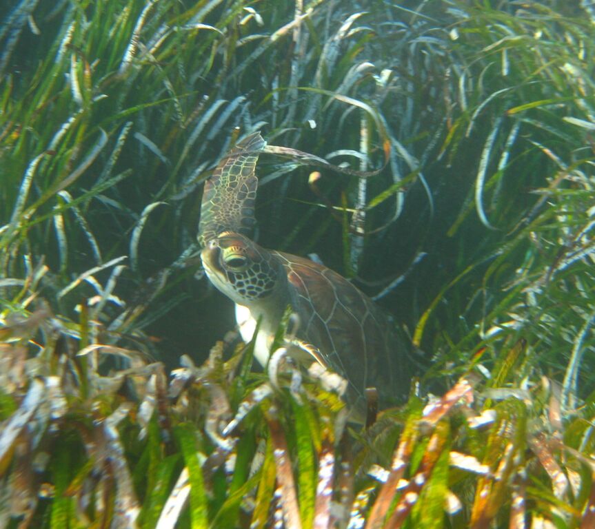 bfeb2022-175e-4192-8473-fdf98f68260d