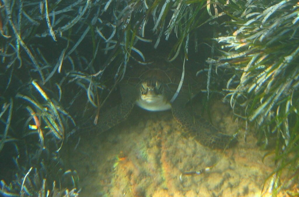 bfeb2022-175e-4192-8473-fdf98f68260d