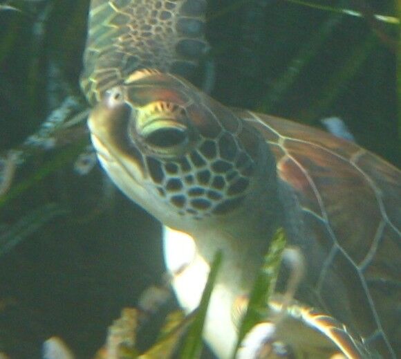 bfeb2022-175e-4192-8473-fdf98f68260d