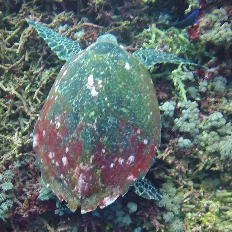 dfb1e5be-0965-49d5-bef0-6acbf725417a