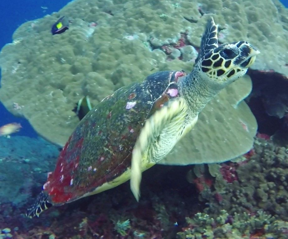 dfb1e5be-0965-49d5-bef0-6acbf725417a