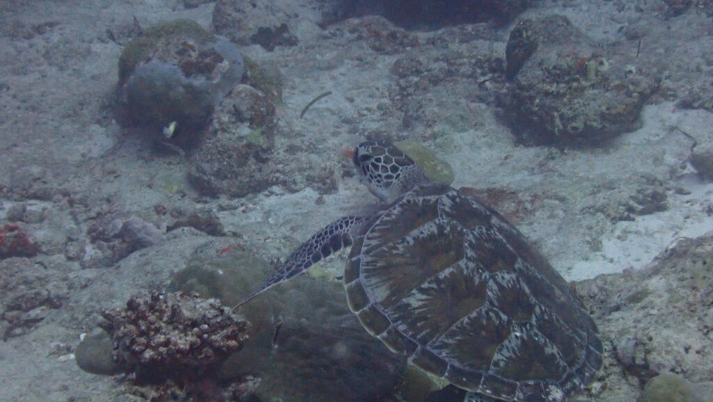 32266876-4e72-453c-8a9e-efa76c09dd41