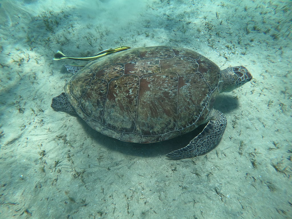 a5761297-d9e5-4d73-aa02-bd6b71730501