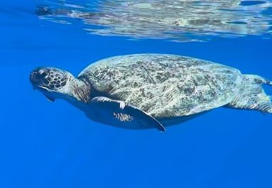 7fe06a83-3c15-4fbd-a15a-7646bfd6006c