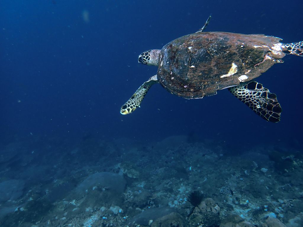 b20b5702-21c7-4d94-b5a5-f57545cd64cc