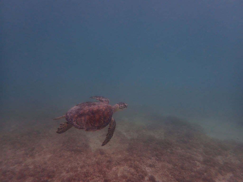 8a4b5dd9-1edd-4a4d-888f-e2644ab4effb