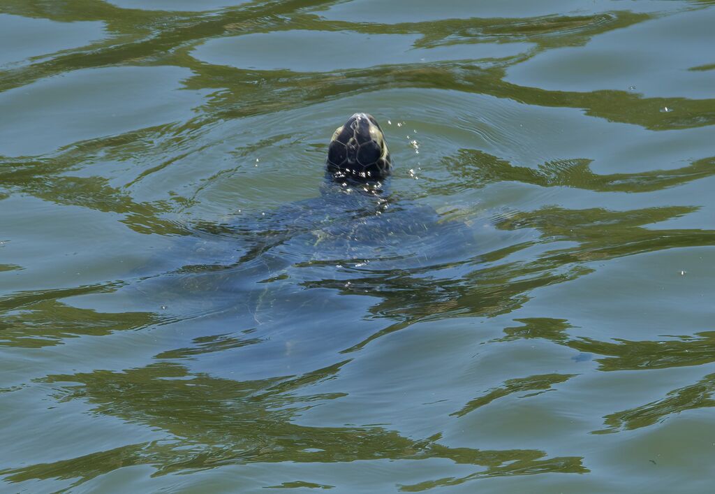 b2ad1d32-6446-470b-8e77-88c8f58b7f1e