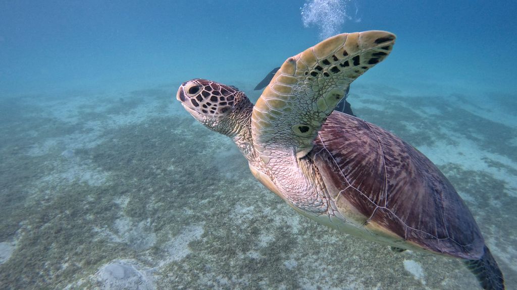 ba72692f-bad5-48b4-8b6c-a7b66a09e225