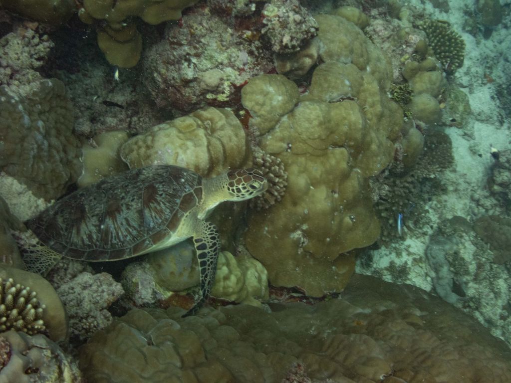 374630b6-c8b8-4e53-933b-719032dea271