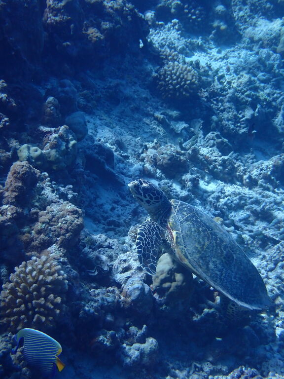 7d1a3be9-3338-45ec-8fe1-454888dd0af7