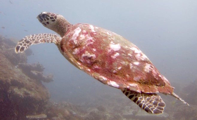 ca81cce1-098f-4e98-a8b4-f4697f78c387