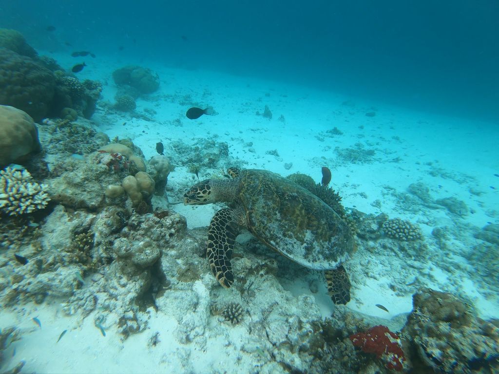 6242188e-4c7a-43e1-96e0-7df118f86a3a