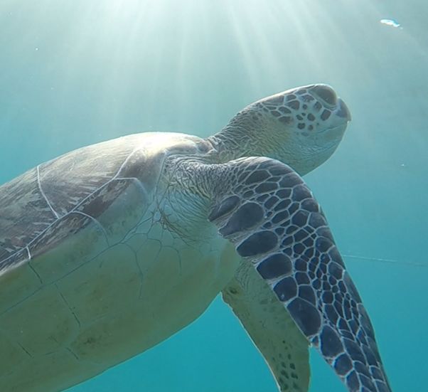 efdda73e-e395-4ac9-a10f-92978a30bdab