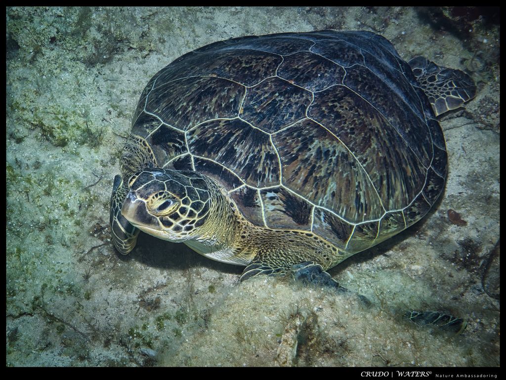 769f1b09-e5f6-4034-a2b2-e5f163b7195c