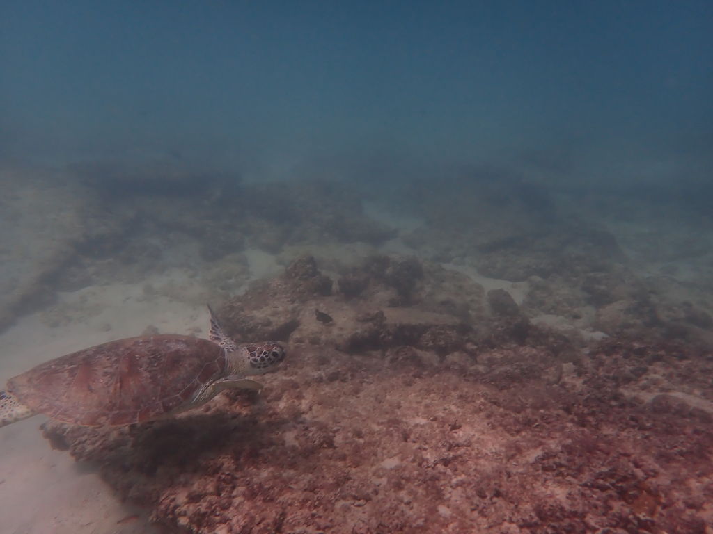 8706d23f-6b63-4192-8a6b-d9624c9e495d