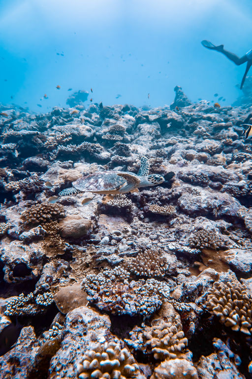 3f426941-ddd3-4bed-bda4-e6fb9b1d074f