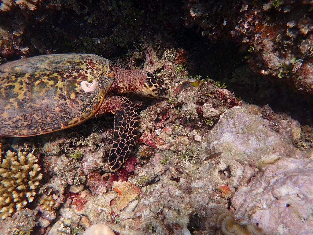 11bdd359-c0a6-4ca4-8f73-a8f4c2946d57