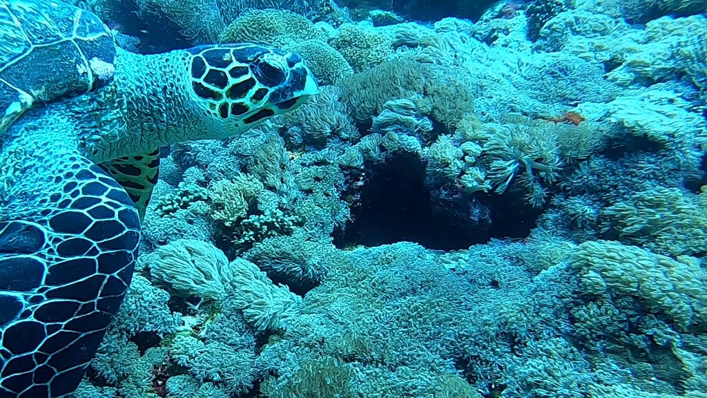 57eacf01-8975-4076-9cf9-19aa697443ea