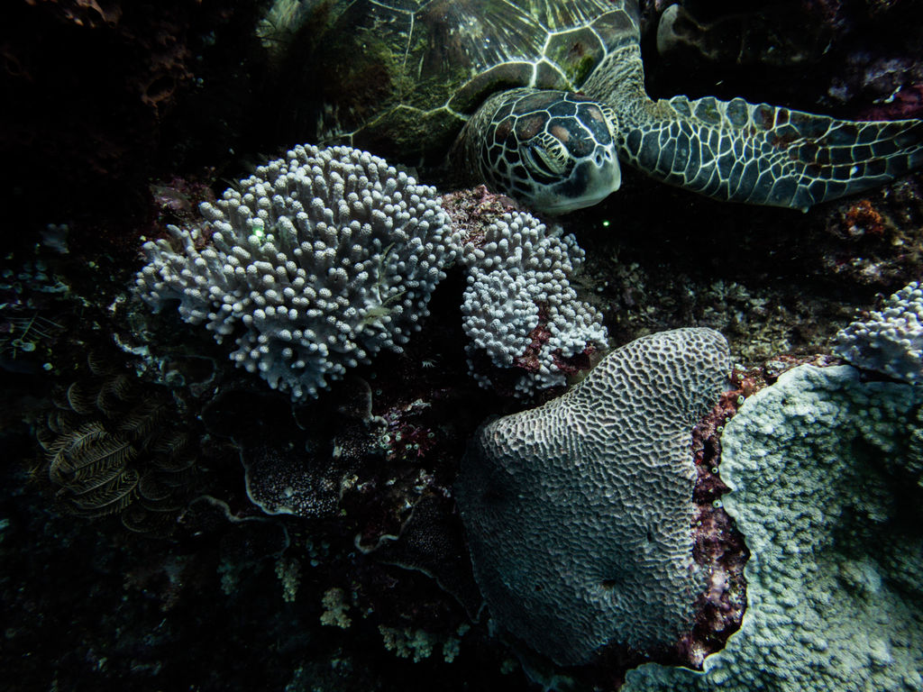 0ffc531d-9ea9-40b3-9d31-a59c315b1c74