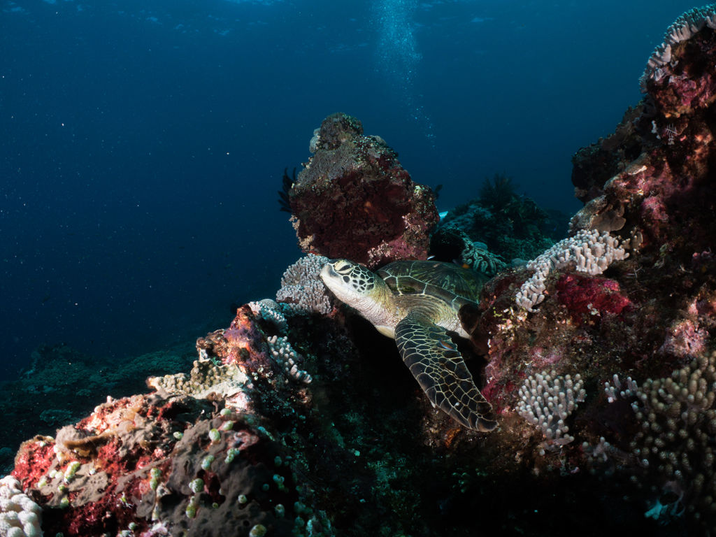 0ffc531d-9ea9-40b3-9d31-a59c315b1c74