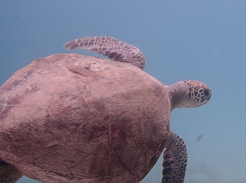 fa6540ad-138b-4038-8c64-8d88987617a2