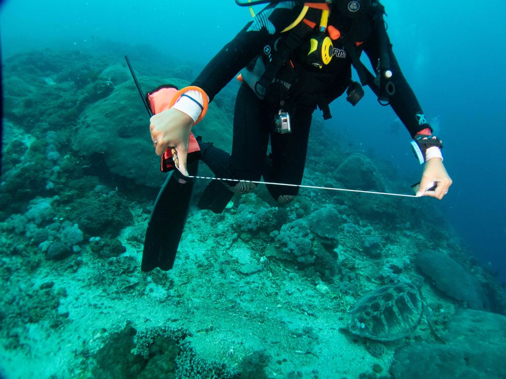 92cda8ff-fa9d-4bd0-b566-4ab0ebf51edc