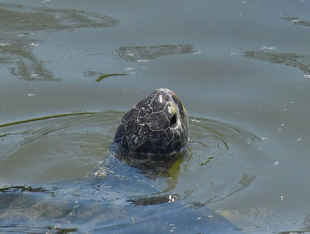 e8c8e928-4495-4121-b306-9be23f4e9c8d