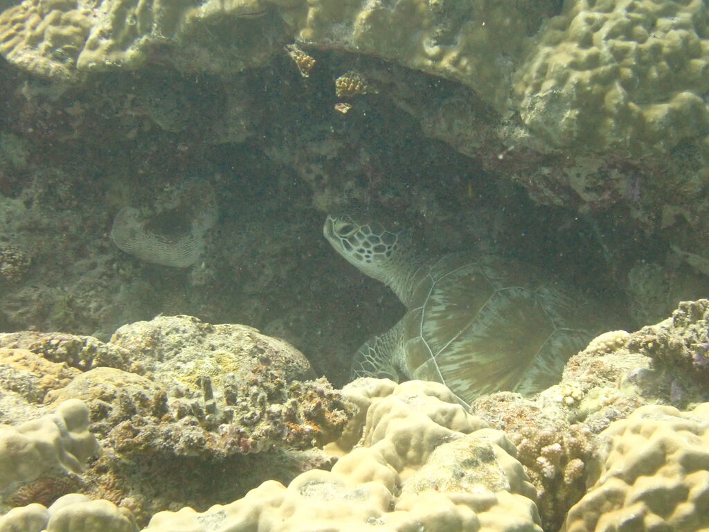 d7df8fc2-d063-41c4-8cd5-95bcedec604c