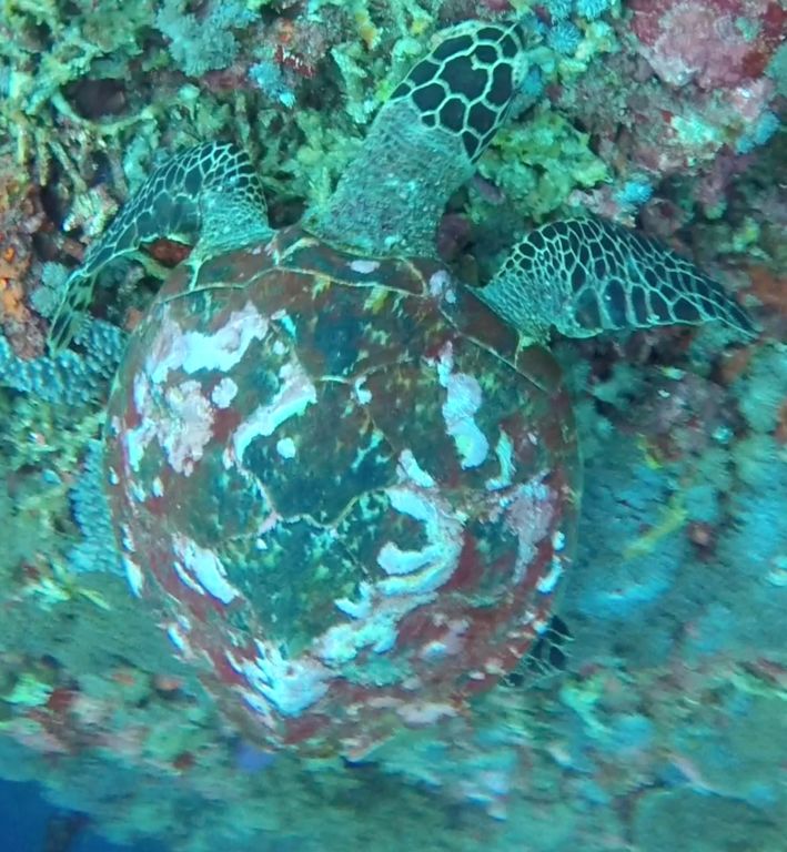 ca81cce1-098f-4e98-a8b4-f4697f78c387