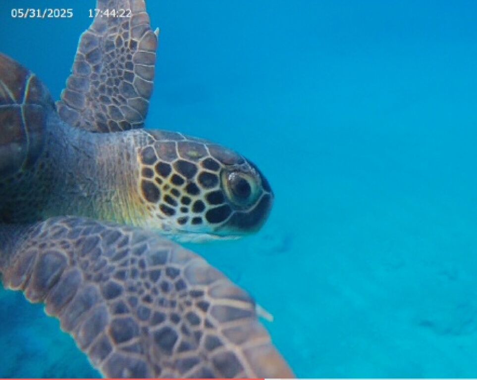 1038da46-3935-4b87-81ab-f10df8d1530c