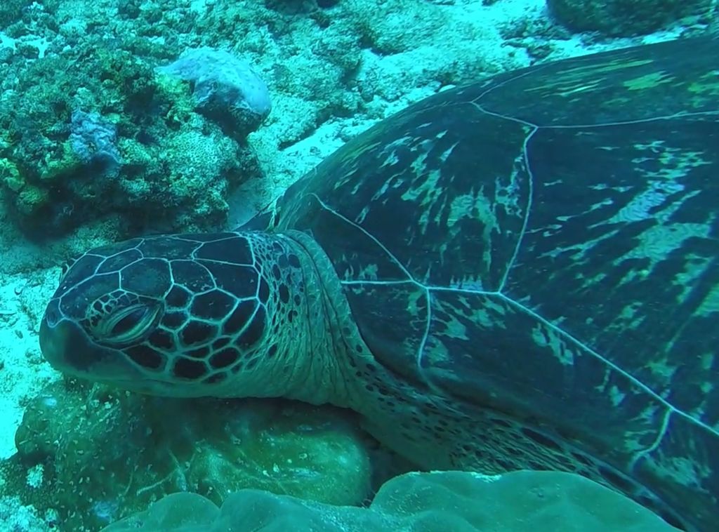 d72c4aaf-a2bf-450c-9372-802f49f7c130