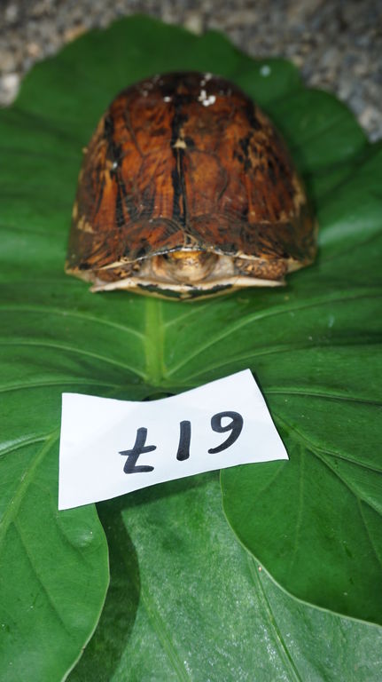 05afde1a-d338-45d6-96e5-3f9b413bef80