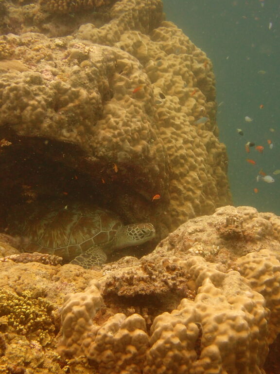 d7df8fc2-d063-41c4-8cd5-95bcedec604c