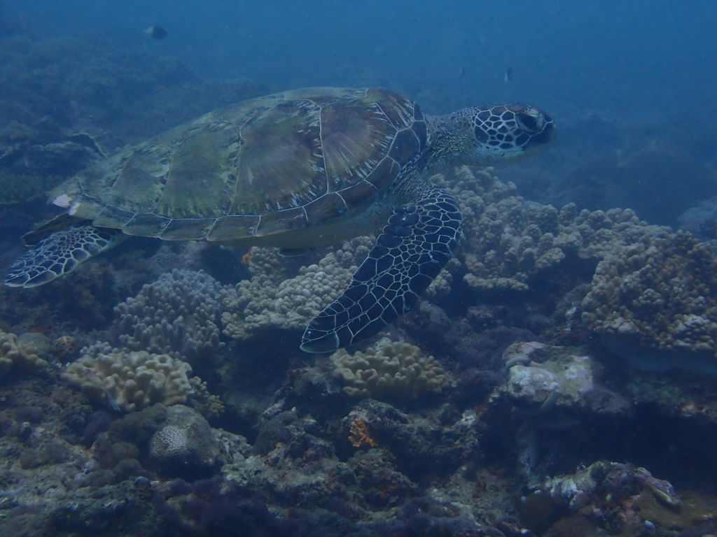 56cd0043-3c77-4f71-987d-6dd2dddc98f2