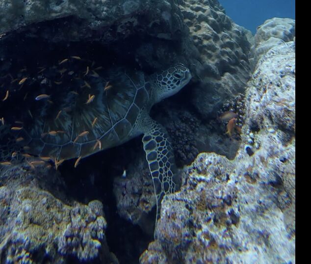 d7df8fc2-d063-41c4-8cd5-95bcedec604c