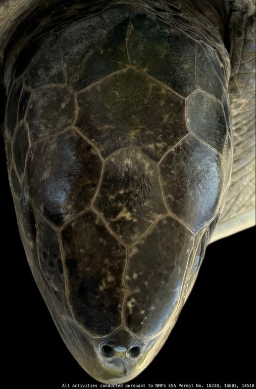 6ec90ed1-79b0-4114-9ee6-4a457e6e478a