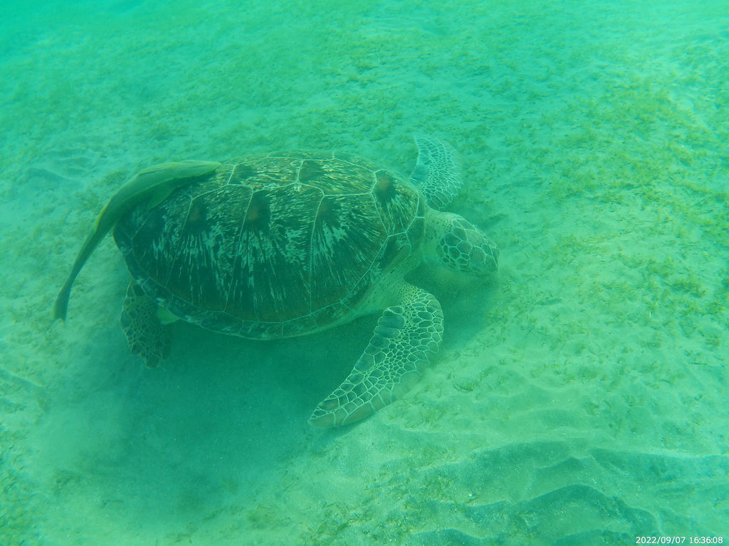 fac409f4-4b5c-41b6-bfe2-3fb84713fcc1