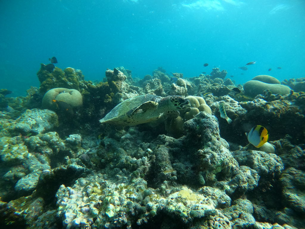 eaf780c5-44ee-4bda-9675-40ea081a7ad9