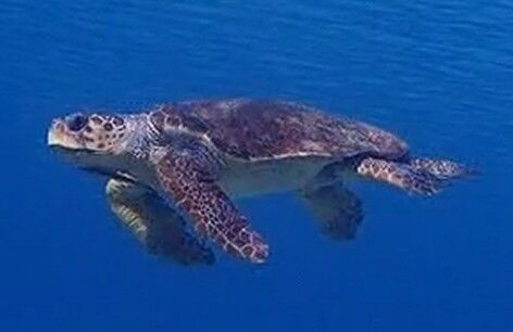 d354301a-5081-40b5-a95a-d8e20ea46565