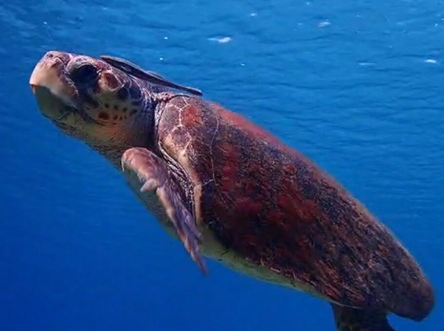 d354301a-5081-40b5-a95a-d8e20ea46565